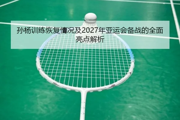 孙杨训练恢复情况及2027年亚运会备战的全面亮点解析 - NANGONG SPORTS